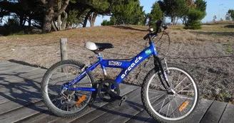 Tout à Vélo au Bois Plage