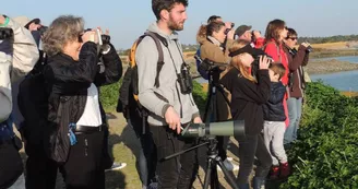 Musée de la Maison du Fier : exposition sur la biodiversité de l'Ile de Ré