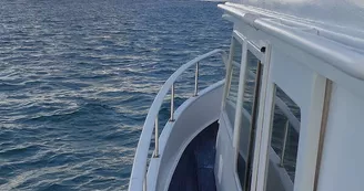 Balade en mer 3h sur bateau rapide (Ile d'Aix et Fort Boyard) par Île de Ré Nautisme