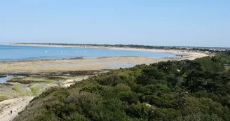 Plage de la Conche des Baleines