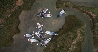 Balade dans les marais en canoé par Canoë Salé