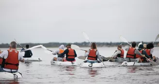 Balade dans les marais en canoé par Canoë Salé