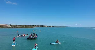 Randonnée en paddle le long de la réserve naturelle et départ en bateau par Île de Ré Nautisme