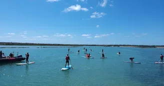 Randonnée en paddle le long de la réserve naturelle et départ en bateau par Île de Ré Nautisme