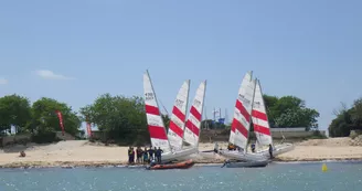 À partir de 6 ans, stage initiation sur le marais des optimists, puis en mer (dériveurs et catamarans)