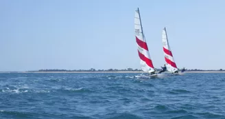 À partir de 6 ans, stage initiation sur le marais des optimists, puis en mer (dériveurs et catamarans)