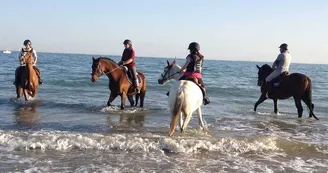 Balade à cheval sur la plage (confirmés) avec Equipassion