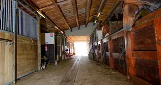 Balade à cheval sur la plage (confirmés) avec Equipassion