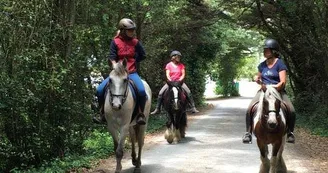 Balade à cheval sur la plage (confirmés) avec Equipassion