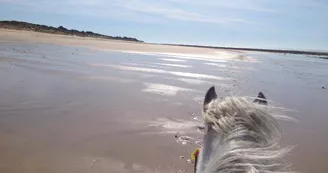 Balade à cheval sur la plage (confirmés) avec Equipassion