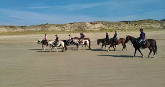 Balade à cheval sur la plage (confirmés) avec Equipassion