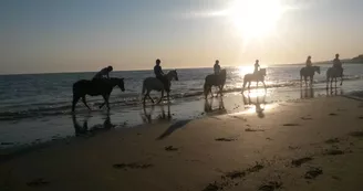 Promenade à cheval sur le bord de la plage par le haras des Evières