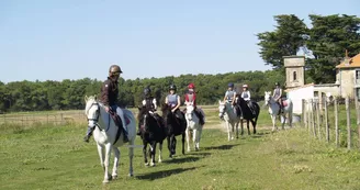 Promenade à cheval sur le bord de la plage par le haras des Evières