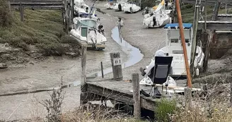 Stage de planche à voile, dériveur ou catamaran et navigation libre par "Centre Nautique Couardais du Goisil"