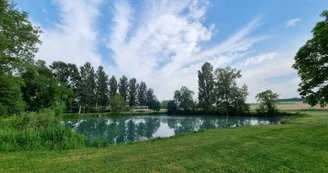 Etang de la Vergne