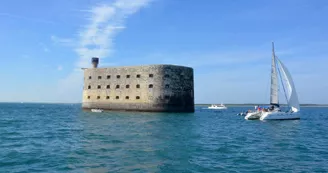 Sortie demi-journée après-midi en catamaran - ​Catamaran La Rochelle