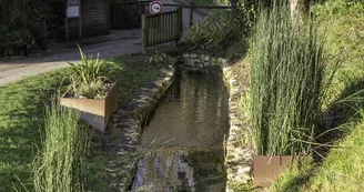 Parcours d'orientation bleu - Le Lac de Vaux