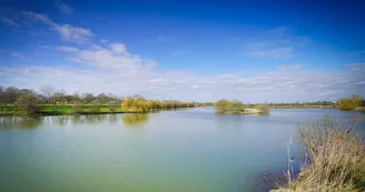 Parcours d'orientation jaune - Le Lac de la Lande