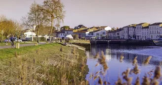 Parcours d'orientation jaune - Le Lac de la Lande