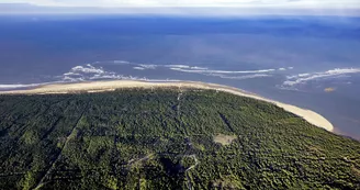 Parcours d'orientation pratiquants confirmés - La Forêt