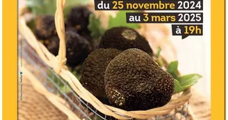 Marché aux truffes