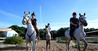 Balade à cheval en Forêt (débutants) avec Equipassion