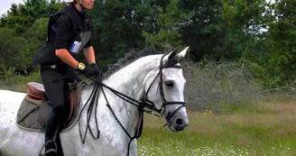 Balade à cheval en Forêt (débutants) avec Equipassion