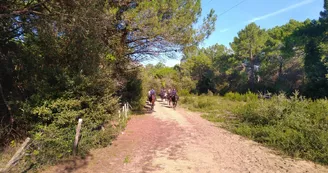 Balade à cheval en Forêt (débutants) avec Equipassion