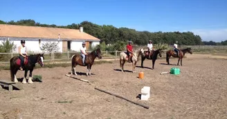 Balade à cheval en Forêt (débutants) avec Equipassion