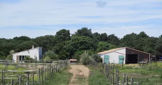 Balade à cheval en Forêt (débutants) avec Equipassion