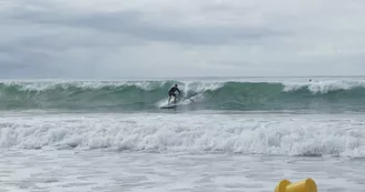 Découvrir le stand up paddle sur L'Ile de Ré avec Papai Paddle