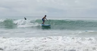 Découvrir le stand up paddle sur L'Ile de Ré avec Papai Paddle