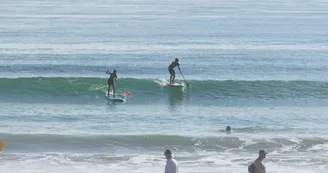 Découvrir le stand up paddle sur L'Ile de Ré avec Papai Paddle