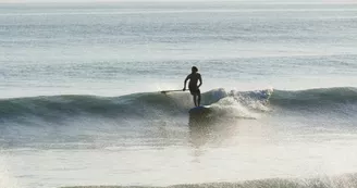 Découvrir le stand up paddle sur L'Ile de Ré avec Papai Paddle