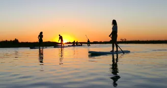 Découvrir le stand up paddle sur L'Ile de Ré avec Papai Paddle