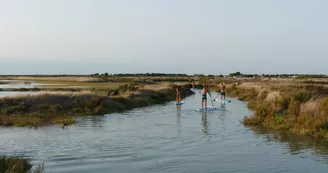 Découvrir le stand up paddle sur L'Ile de Ré avec Papai Paddle