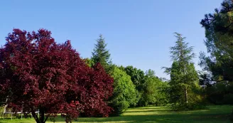 Chambres d'hôtes Les Trois Cèdres