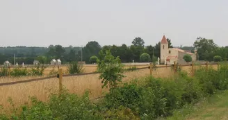 Eglise Saint Pierre aux Liens