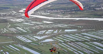 Les ailes du marais