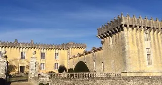 Château Chesnel