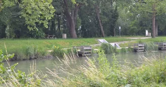 Parcours pêche - Canal de dérivation de la Sèvre Niortaise