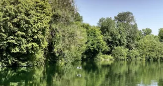 Balade fluviale à bord de La Demoiselle