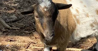 Ferme Pédagogique de La Cressonnière