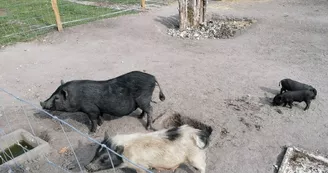 Ferme Pédagogique de La Cressonnière