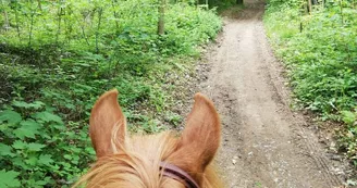 LES DADOUS DE LA BRANDE - TOURISME EQUESTRE