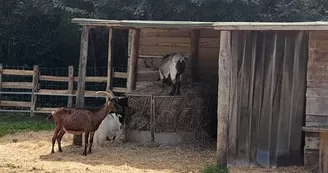 Le sanctuaire des poids plumes