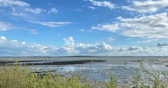 Boyard croisière : Découverte de l'Estuaire à la voile