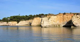 Croisières La Sirène - Cordouan