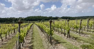 Domaine Côtes de l'Estuaire