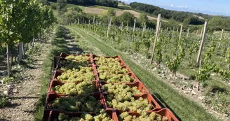 Domaine Côtes de l'Estuaire